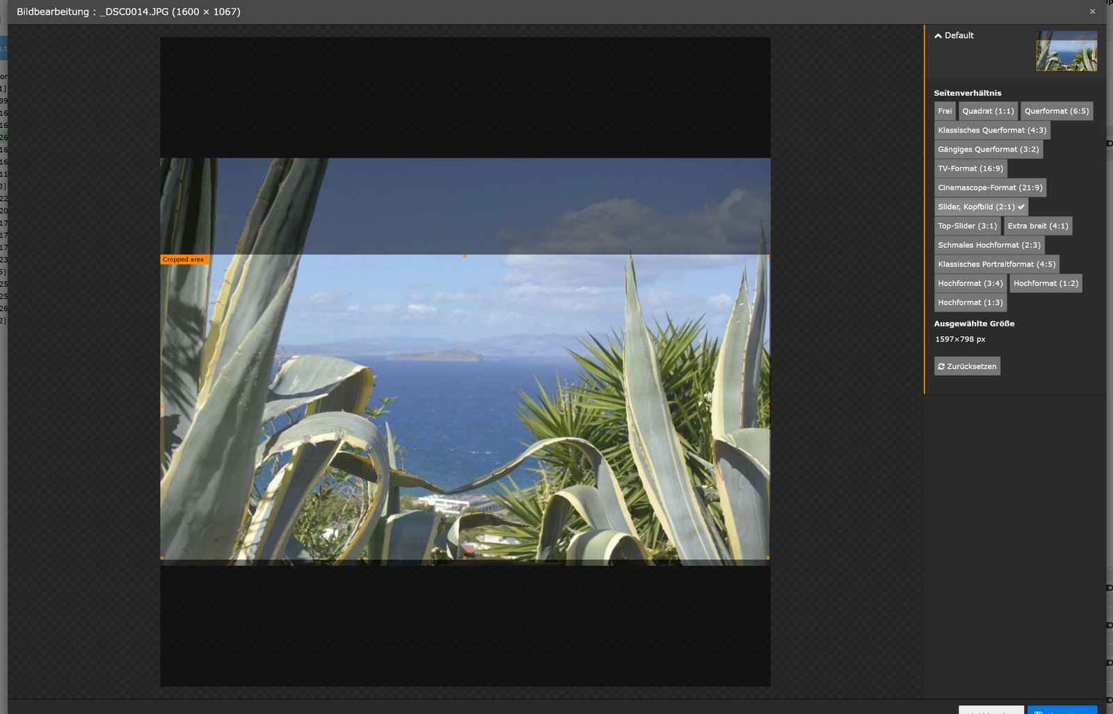 Bildbeschneidungswerkzeug in TYPO3 in Funktion
