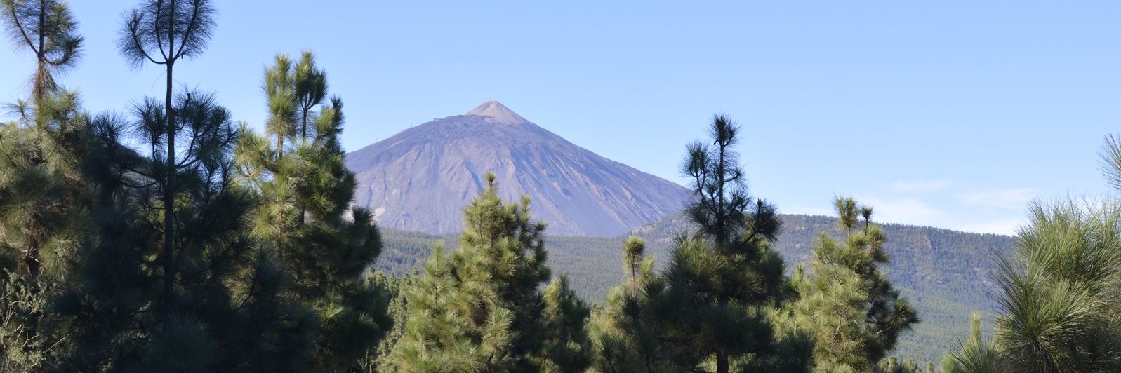 Teide, Blick nach Westen